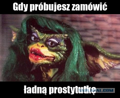И правда, чудесно выглядит, на все 100