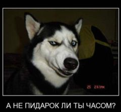 Неожиданно!