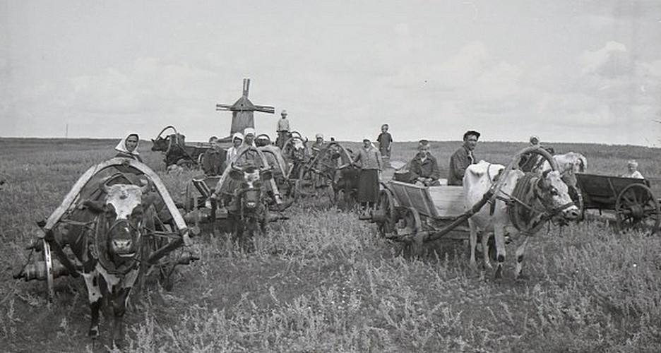 РљРѕР»С…РѕР· 1936