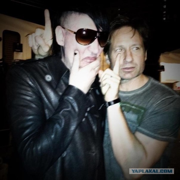 Антидарвинисты: Эволюция не наука!