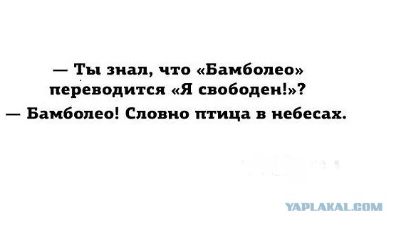 Шестая подборка самых баянистых баянов! Ностальгируем...