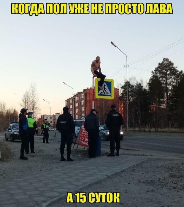 Дурацкие картинки