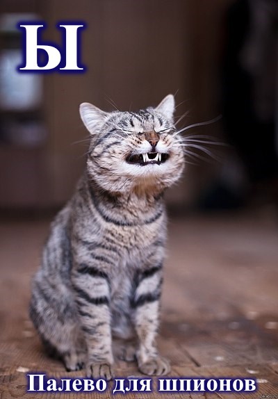 Ы …