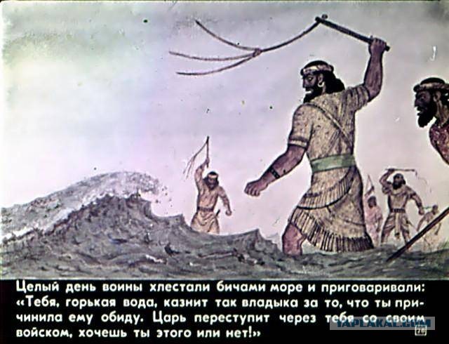В РАН заявили о «крупнейшей экологической катастрофе»