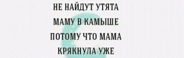 Про геймера-мужа