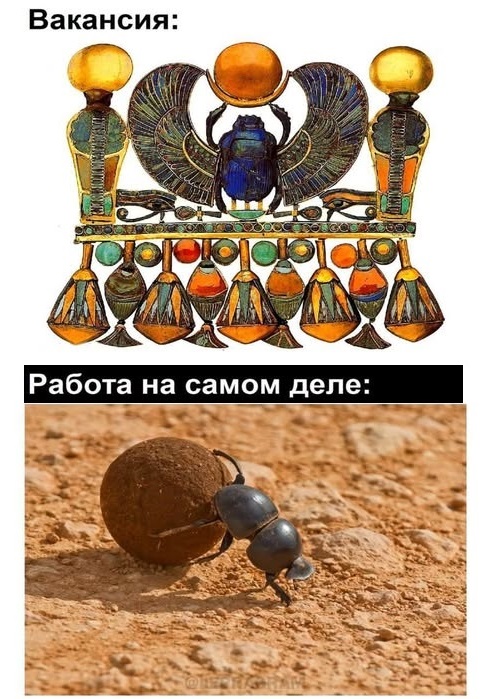 Картинки разные с надписями и без