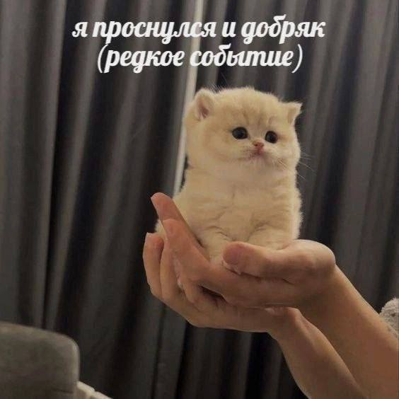 Так себе картинки 24.02.25