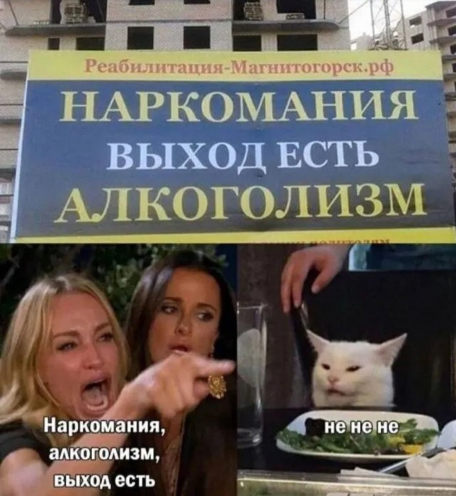 К котовторнику: подборка картинок-баянов с котиками и про котиков. Выпуск 3.