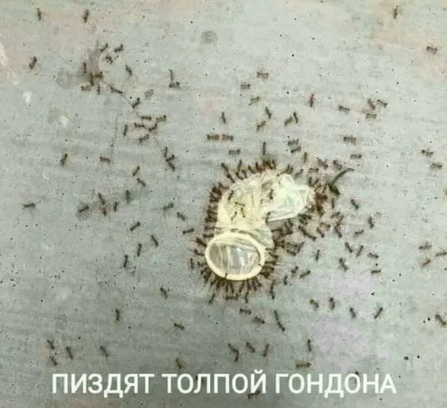 Стендаперу из Ейска Артемию Останину грозит до 6 лет за шутки о героях СВО
