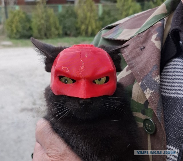Что-то помастерить захотелось