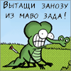 Уши слона