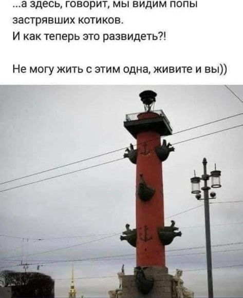 Прикольные и просто красивые картинки 10.10.2025