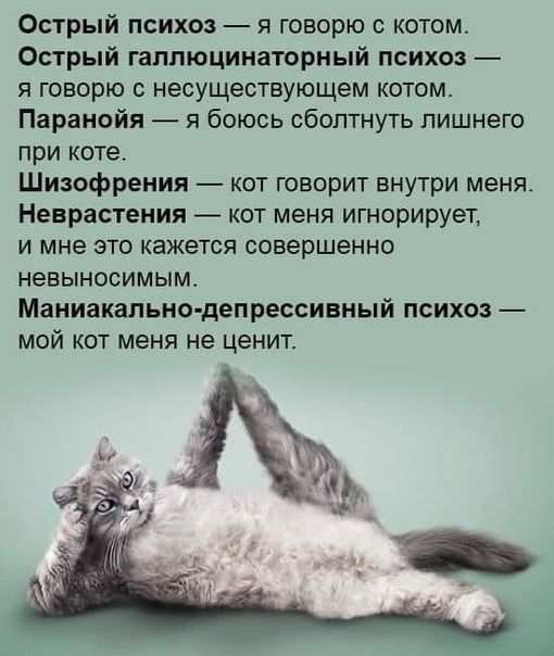 Подборка картинок-баянов с котиками и про котиков. Выпуск 21