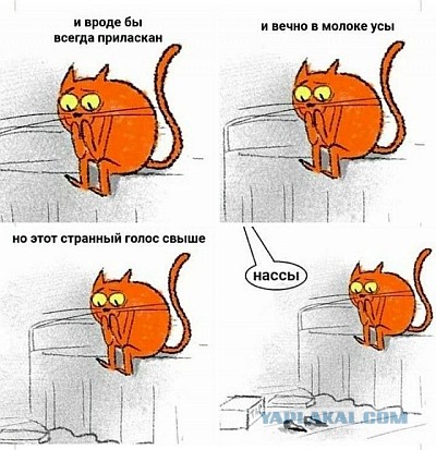 Так себе картинки 18.02.26