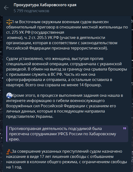 Хабаровчанку приговорили к 17 годам за сорванные листовки об армии
