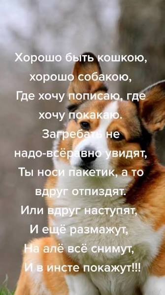 Лайфхак для тех кто в пустыне
