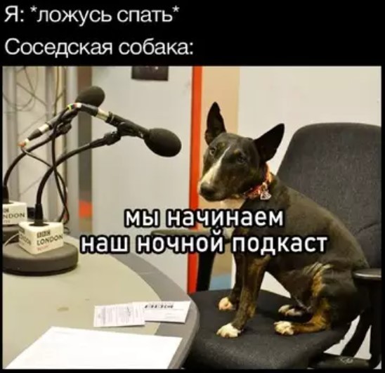 Картиночки, баянчики 06 апреля