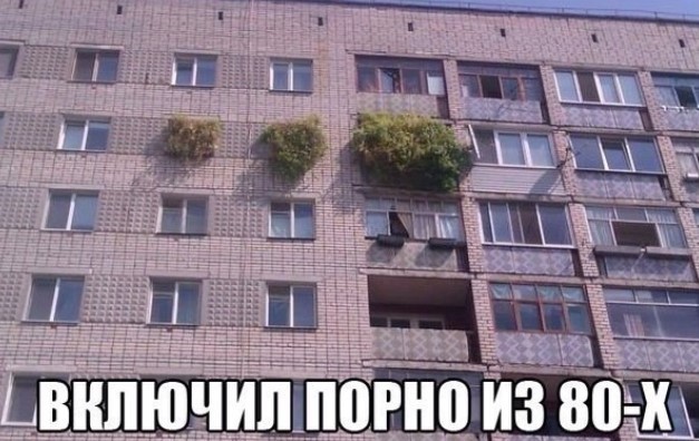 Картиночки, баянчики 25 апреля