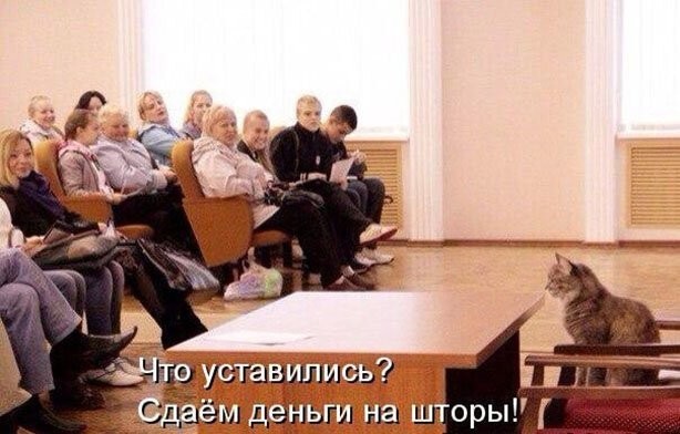 Забавные картинки, шутки из этих ваших интернетов