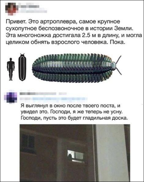 Так себе картинки 20.06.22