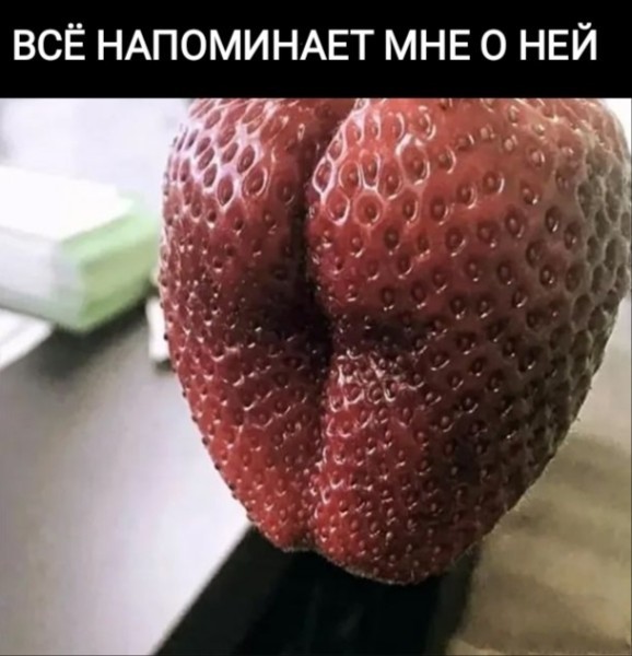 Картинки для деградации 227 (разной степени свежести)