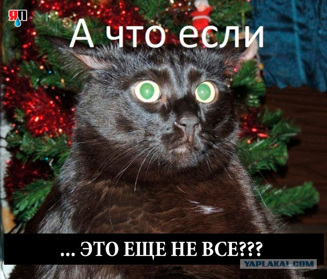Теперь ты видел всё