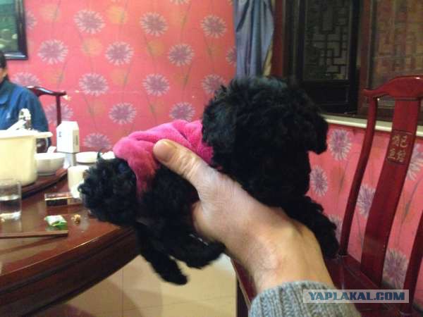 Очередное путешествие в Китай