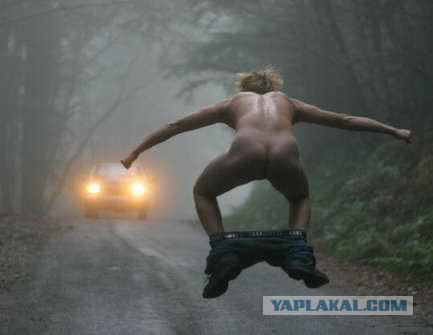 Визуализируем свои ники!