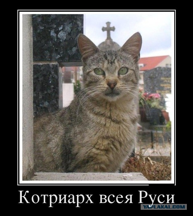 Не про олимпиаду