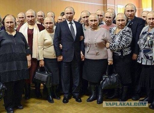Как я пива попил