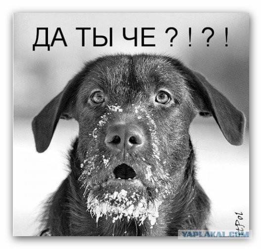Ходют тут всякие