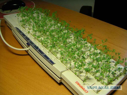 Я скучаю по этой надписи, а вы?