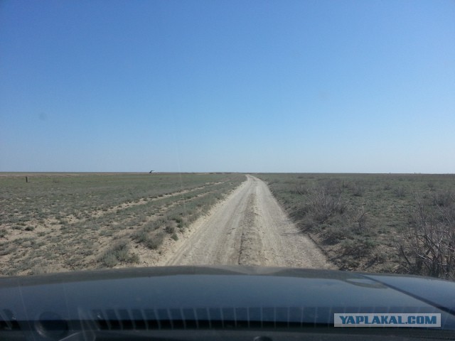 Как бизнес, товарищи?