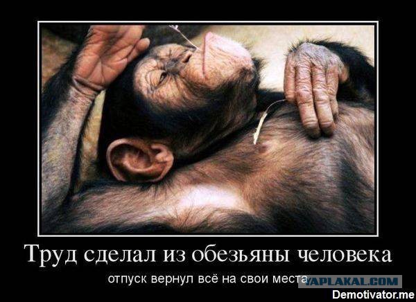 Чёрт, чёрт, чёрт!