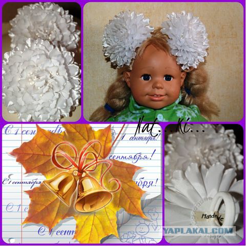 Красивое увлечение супруги