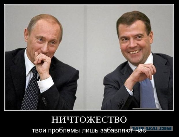 Ещё один медвепут