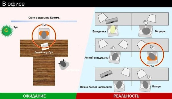 Ожидания и реальность в картинках