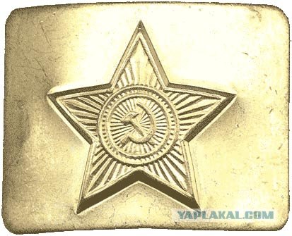 Смерть призывника в Новосибирской области