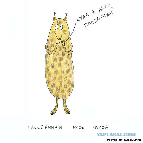 Рисованные животные дурачатся
