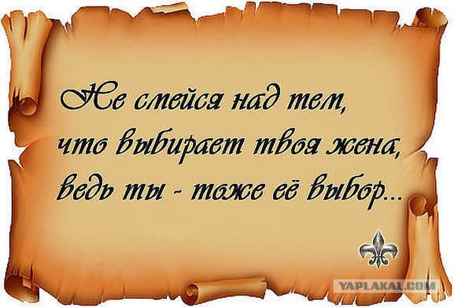 20 фактов обо всем