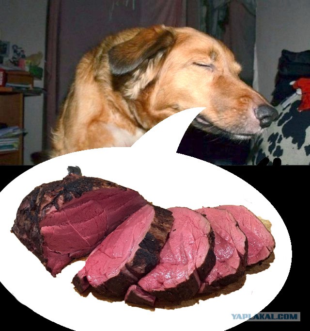Псто для мужиков. Просто одно фото....