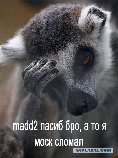 14 иллюзий которые возможно скрасят ваш вечер