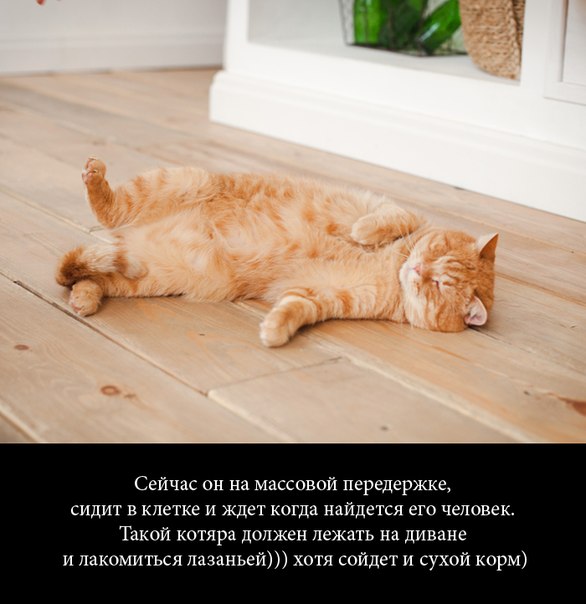Что может сотворить любовь и забота