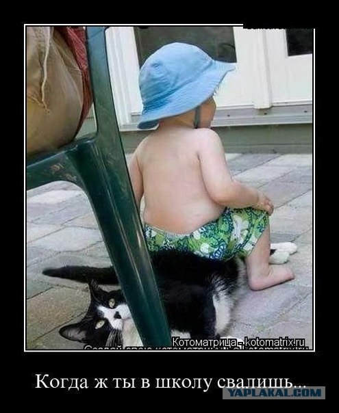 Показалось...