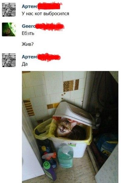 Прикольные картинки