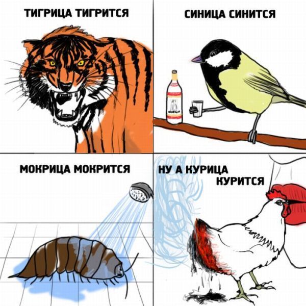 Просто картинки. Всяко разно, не заразно.