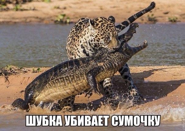 Картинки на субботу