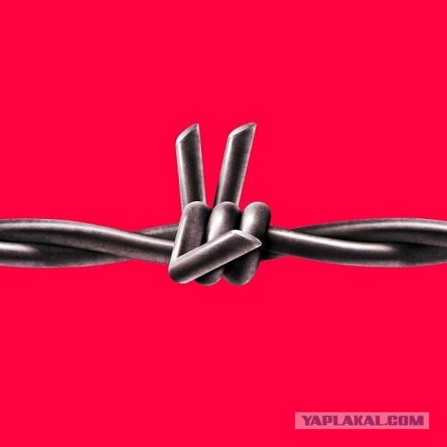Подборка прикольных фото на пятницу