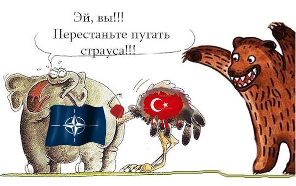 Карикатуры