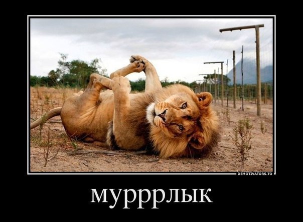 Забавные картинки из Сети
